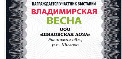 Диплом "Владимирская весна"